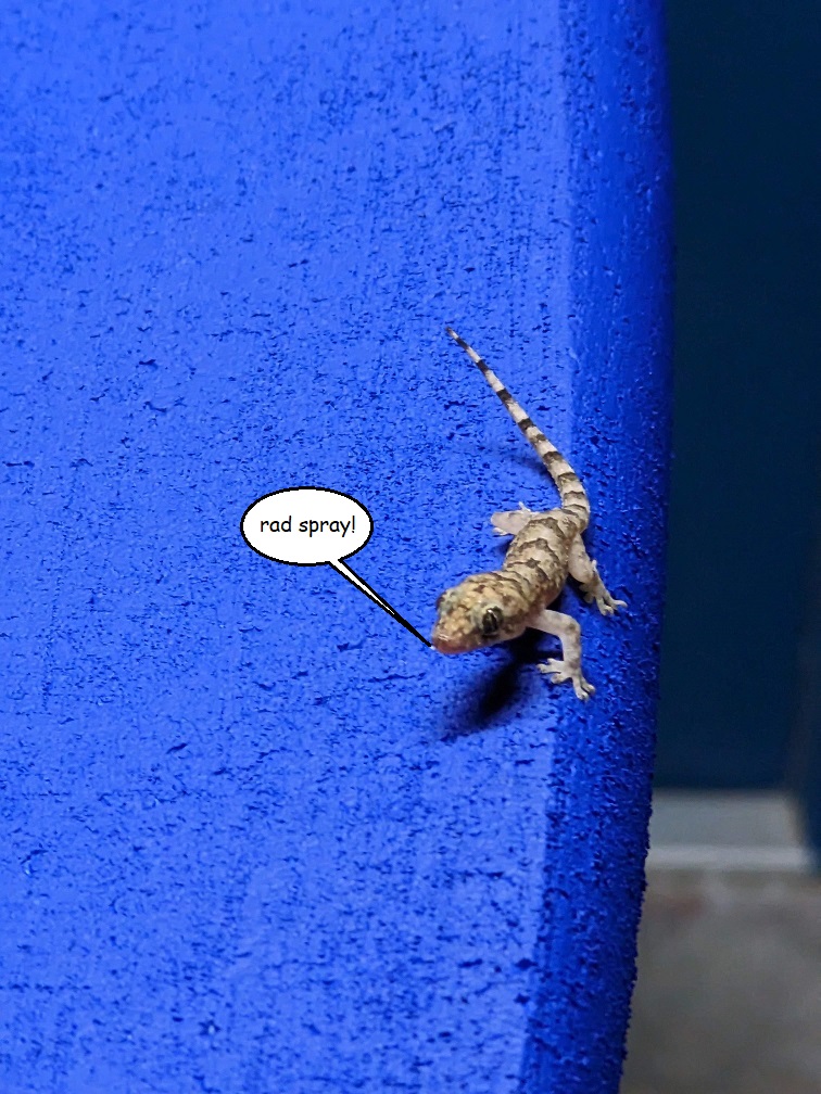 rad_gecko